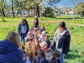 IMG_20250311_104847