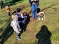IMG_20250311_110920