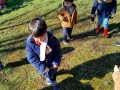 IMG_20250311_110925