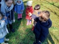 IMG_20250311_110936