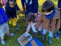 IMG_20250311_110946