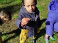 IMG_20250311_111112