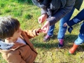 IMG_20250311_111127