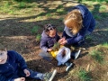 IMG_20250311_112116